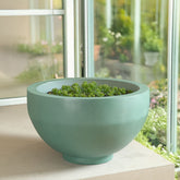 Percival Planter Pine Green